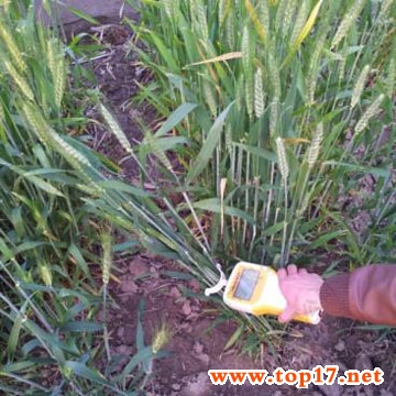 便攜式作物抗倒伏測定儀 YYD-ID