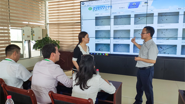 朱旭華副總經(jīng)理與代表們圍繞蟲情測(cè)報(bào)深入交流