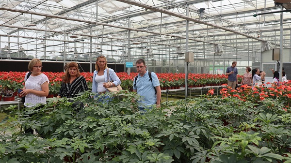 ���ް�һ���ڬF���r�I�a�I�@�F���^Ħ6