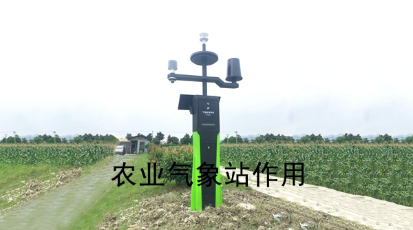 �r�I����վ����