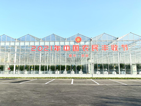 ���d�Ϻ����Č��Ї��r(n��ng)���S�չ�(ji��)������