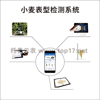 С�����͙z�y(c��)ϵ�y(t��ng) TPM-BX-1