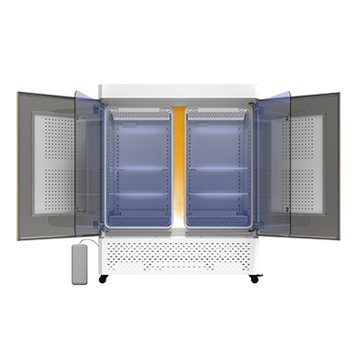 1000����{(l��n)