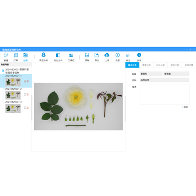 ֲ����ͷ���ܛ�����͑���ܛ���� TP-AI Pheno L